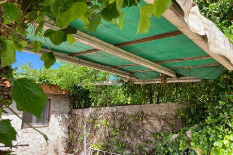 Landejendom i Vinaros, Castellon, Vinaros - € 77.000 | Ref: Finca Tranquila - foto 48